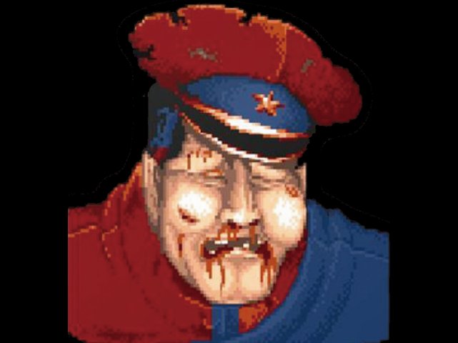 Mr.BISON