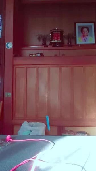 箒ちゃん